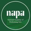 National Academy of Performing Arts (NAPA), Karachi